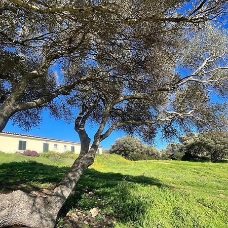 La Striscia Larga Panzió San Pasquale Kültér fotó